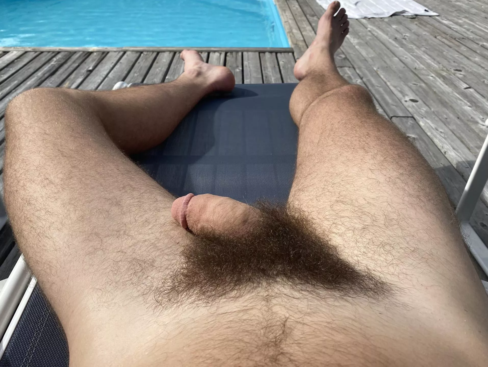 Getting some sun posted by hairy_calvin