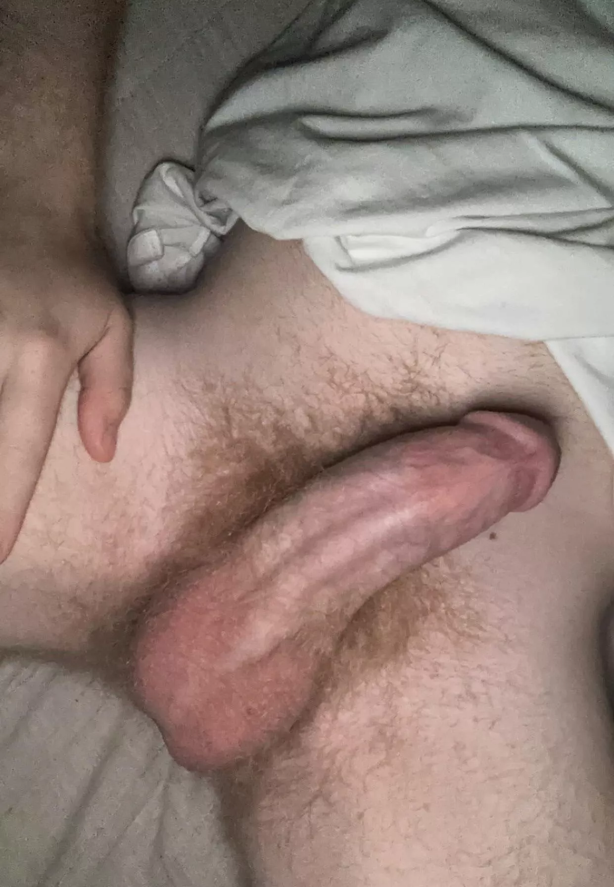 hairy and horny, hmu posted by mattreddit1221