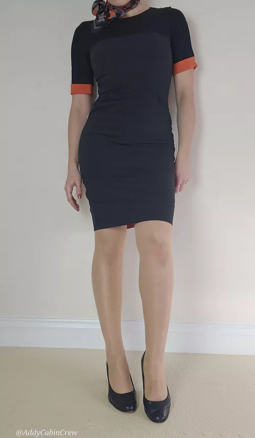 I heard you need a lady in uniform in your life by AirHostess666