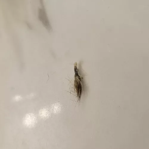 Is this a navel stone? by Asleep_Objective_455