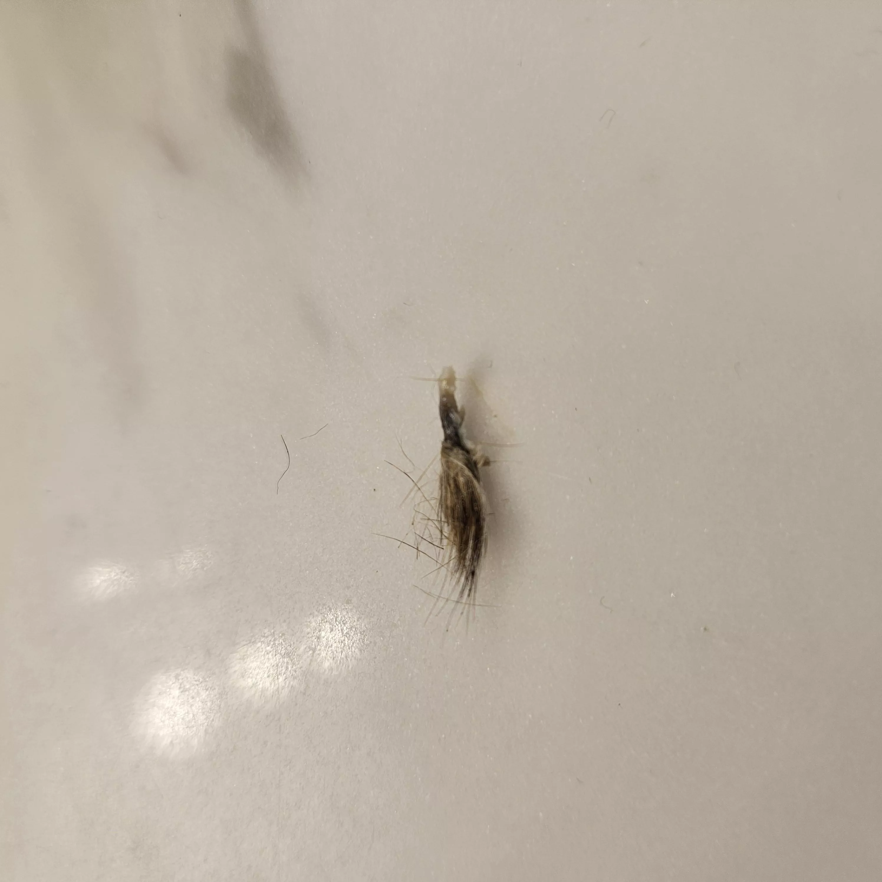 Is this a navel stone? posted by Asleep_Objective_455