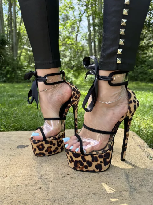 Just look how sexy are they 😍 Should I wear them to work? 😉 by missheels07