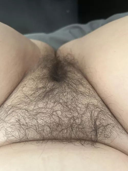 Like a forest down there by Sluggyshy