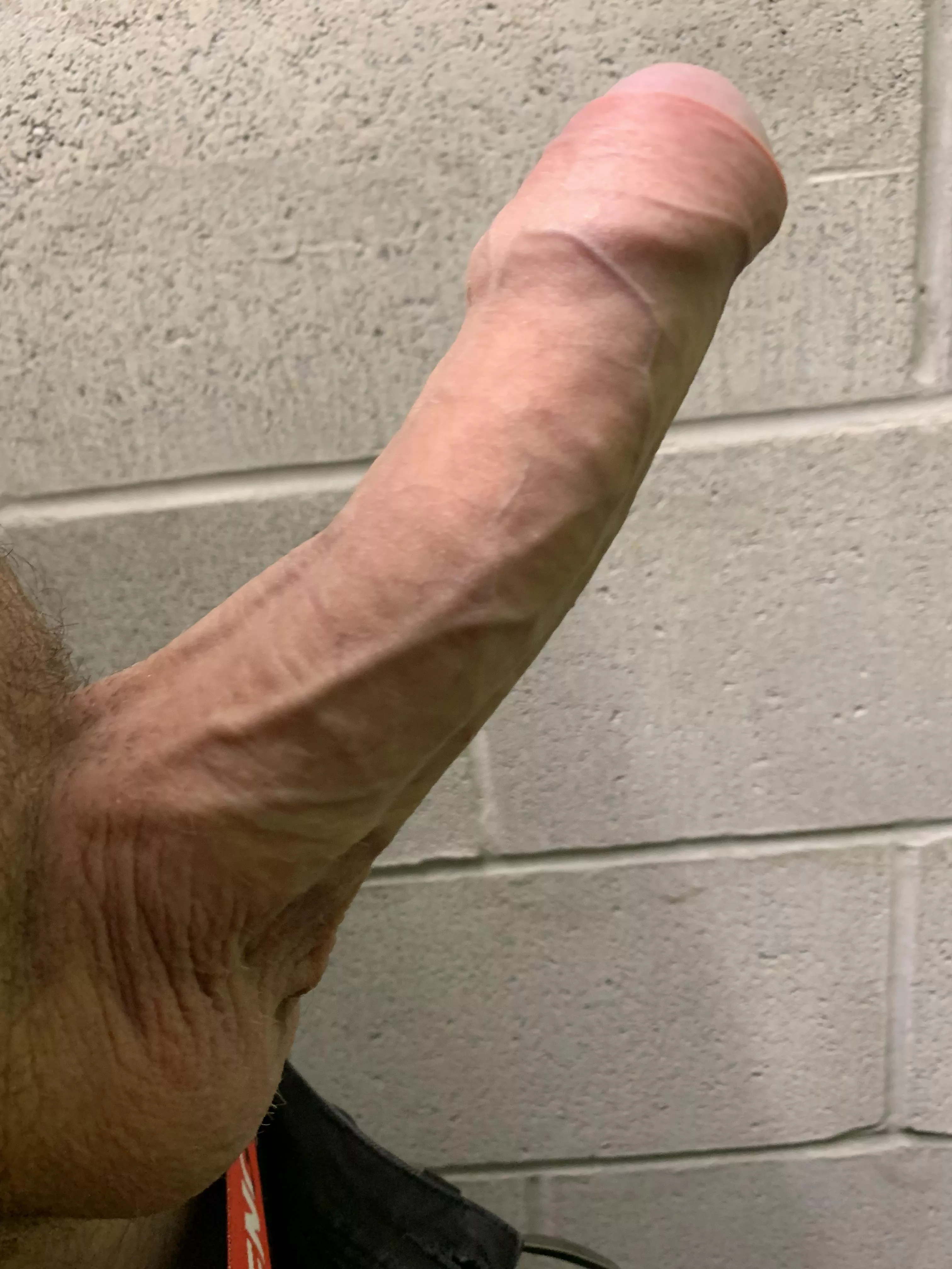 Like veiny cocks ?  posted by Chance_Bag_9009