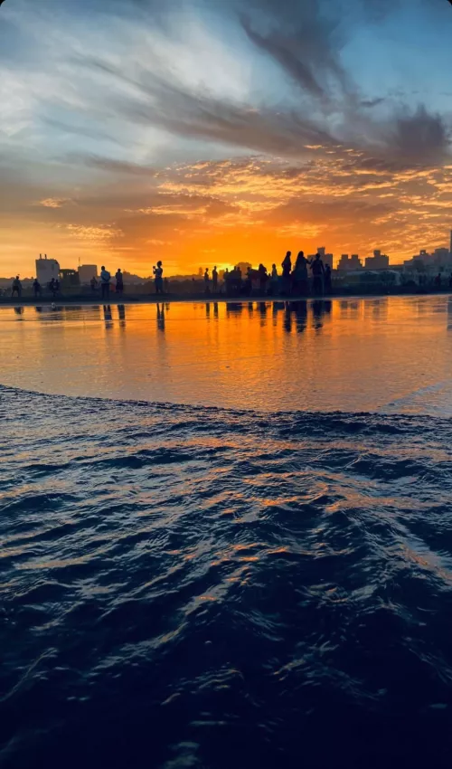 Majestic 😍🤯 by KatnissBlackMamba