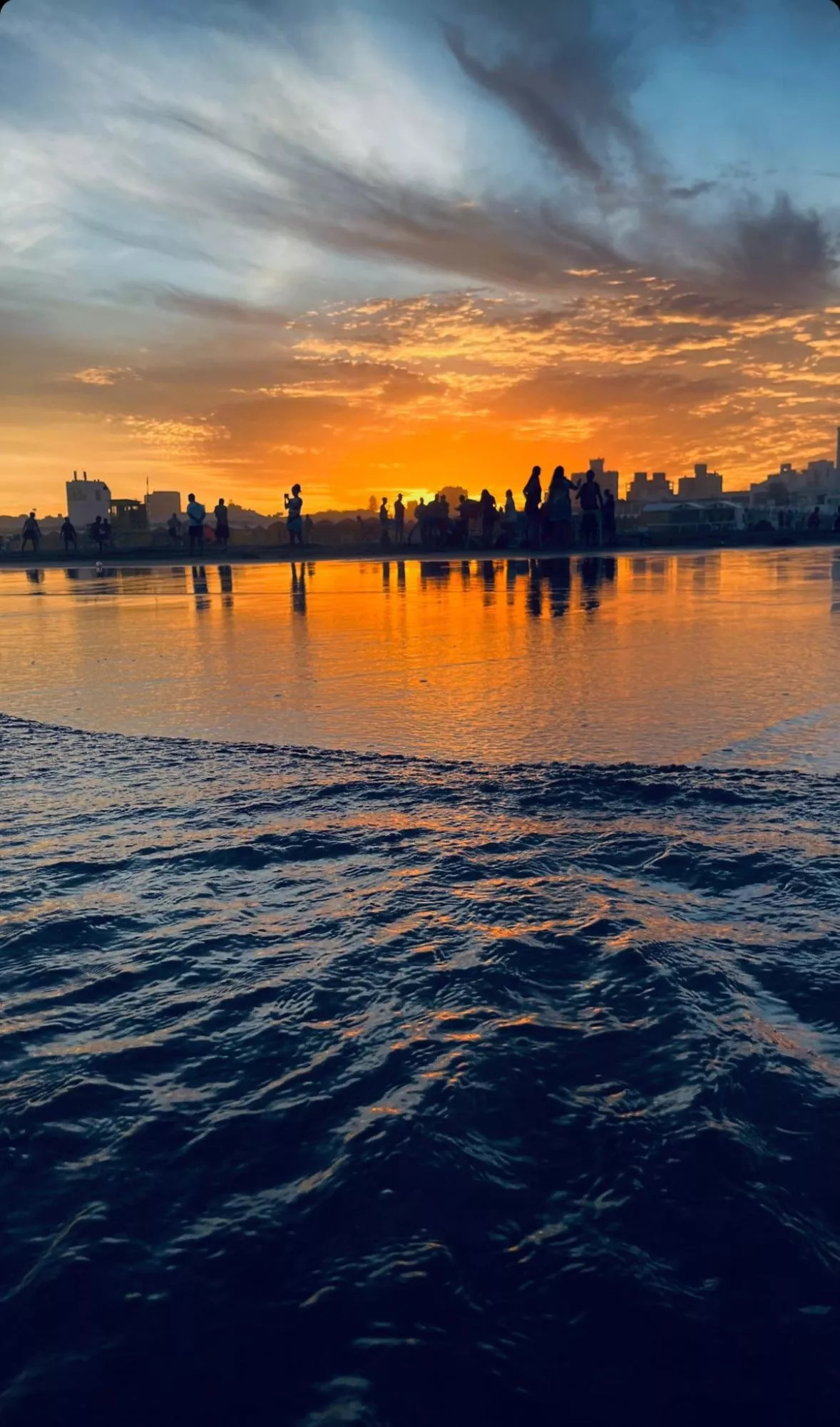 Majestic 😍🤯 posted by KatnissBlackMamba