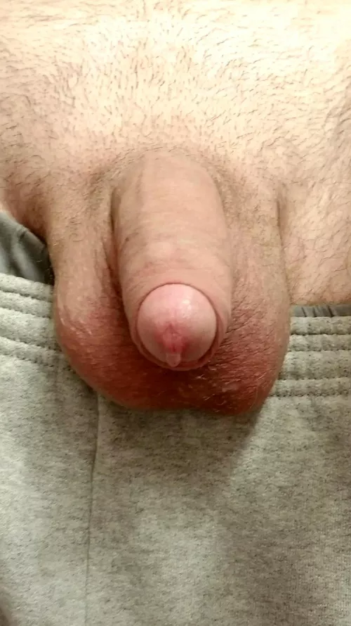 My Cock is Already Dripping 😭 by notthepresidenttttt