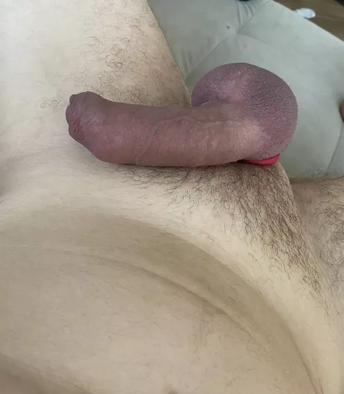 Need help relieving those blue balls  by Inside-Client-9857