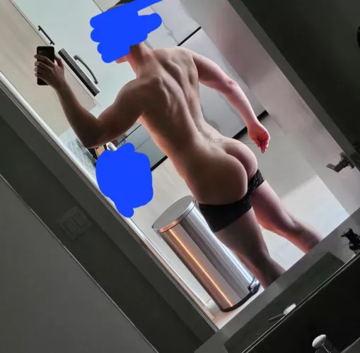 please clap by cat_________dog