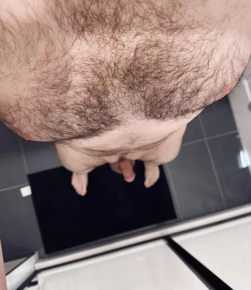 Proud owner of a brown and ginger forest on my chest.  by CornerofEast_and_3rd