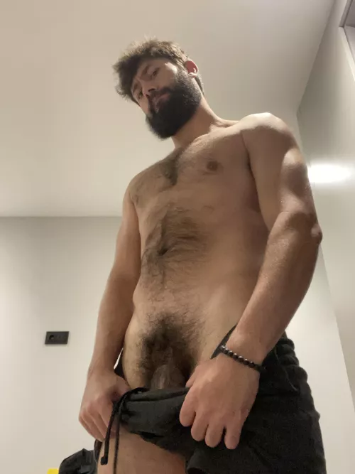 The bush saga continues⚡️ by AxlRagnarok