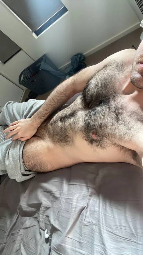 A soft and luscious coat by duke_fistington