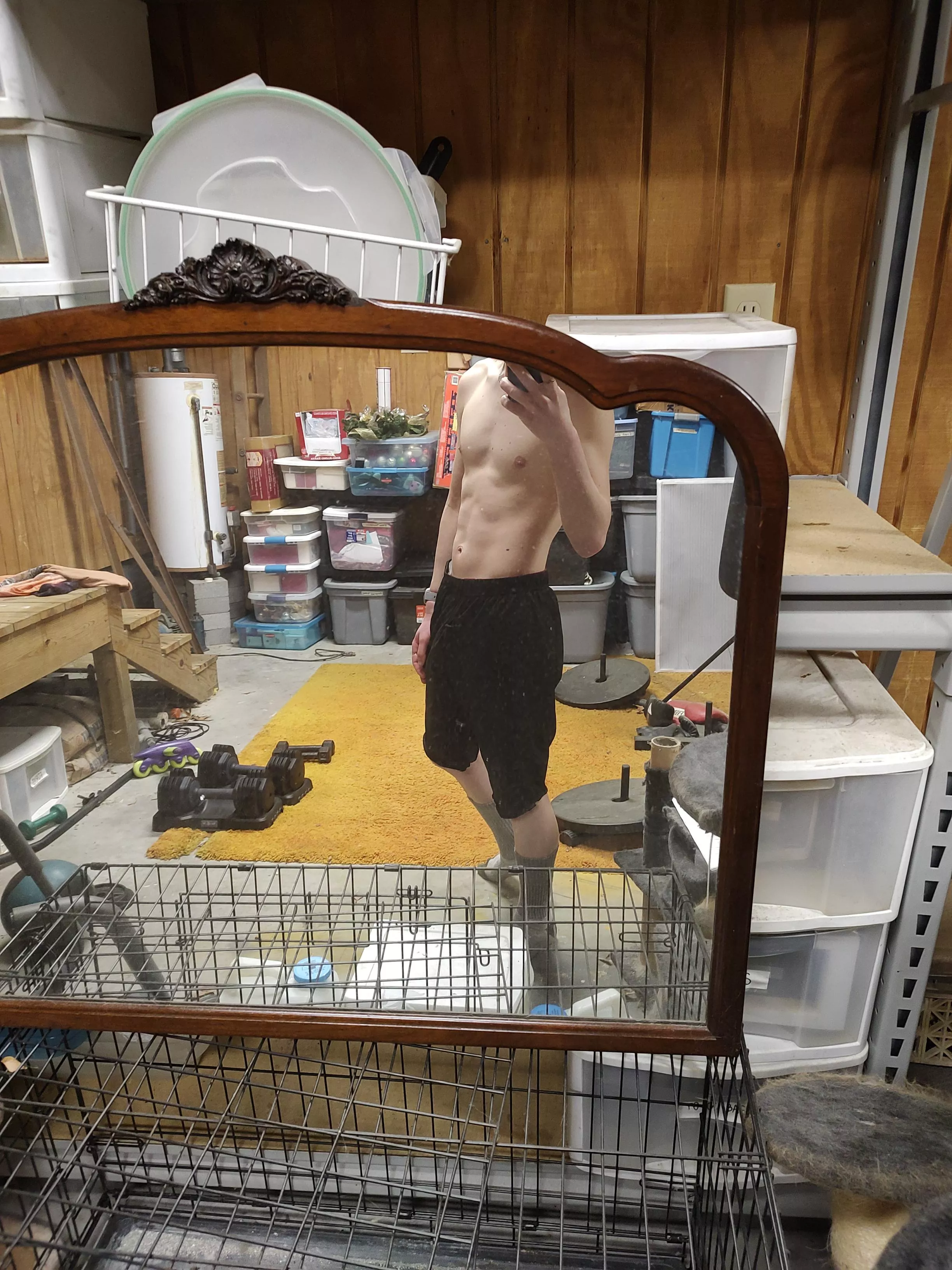 Been taking weights more serious, whatcha think?  posted by Al3xandritee