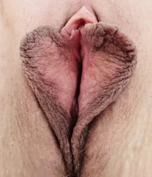 Cock or cum me! by formerstrippr