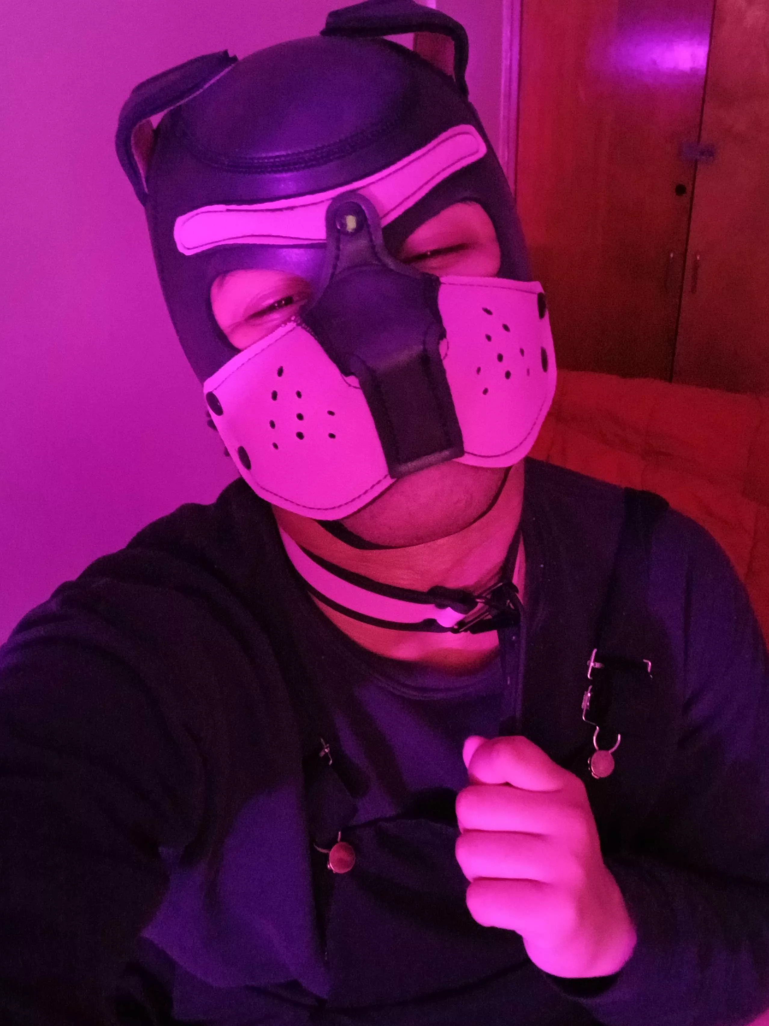 Come pull on my collar posted by PupAries_