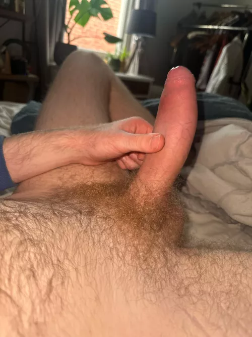 Deciding to regrow, coming in nicely so far 🥰 by CultClassic123