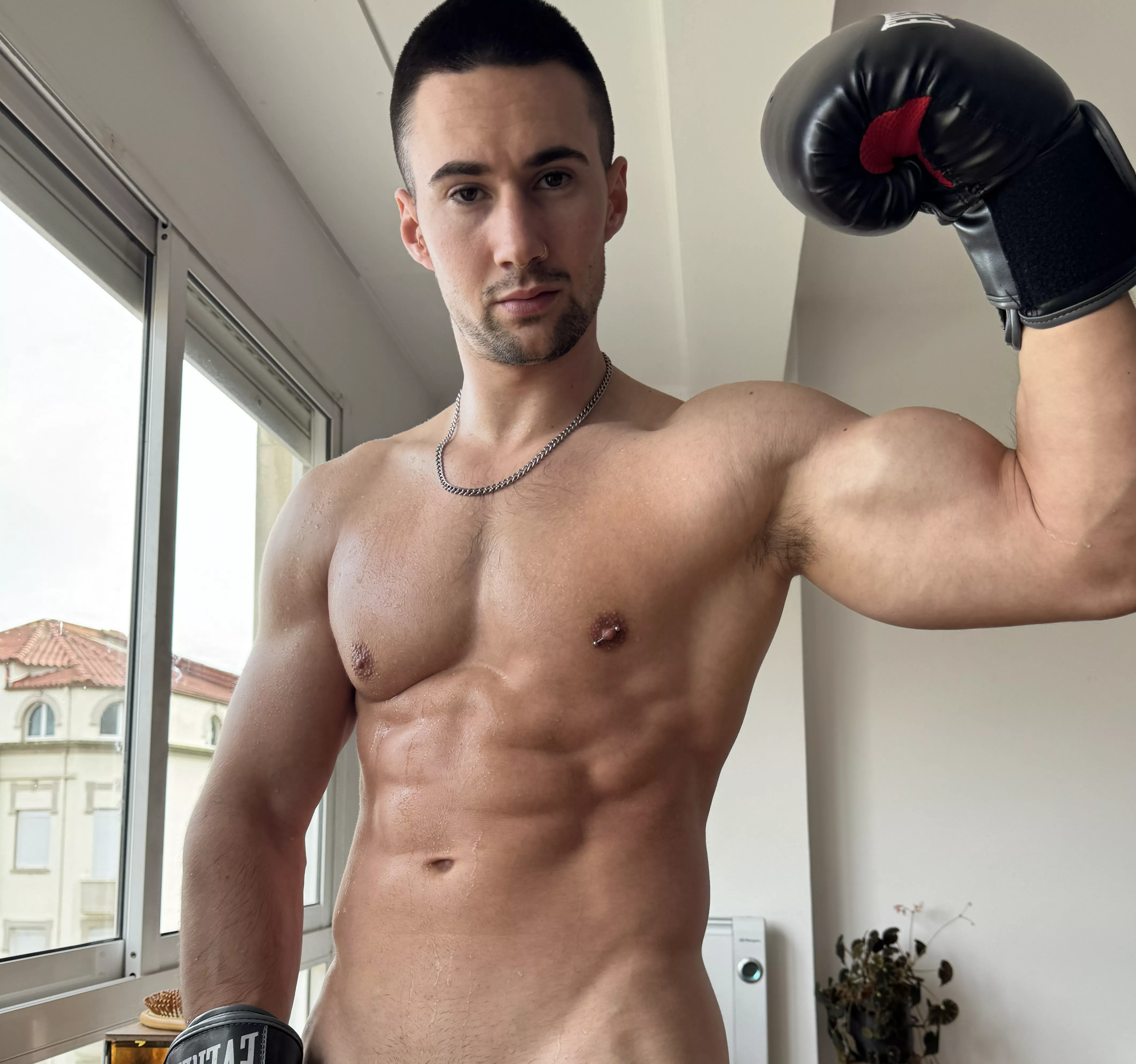 Do you want to learn boxing in bed? posted by azaroso_
