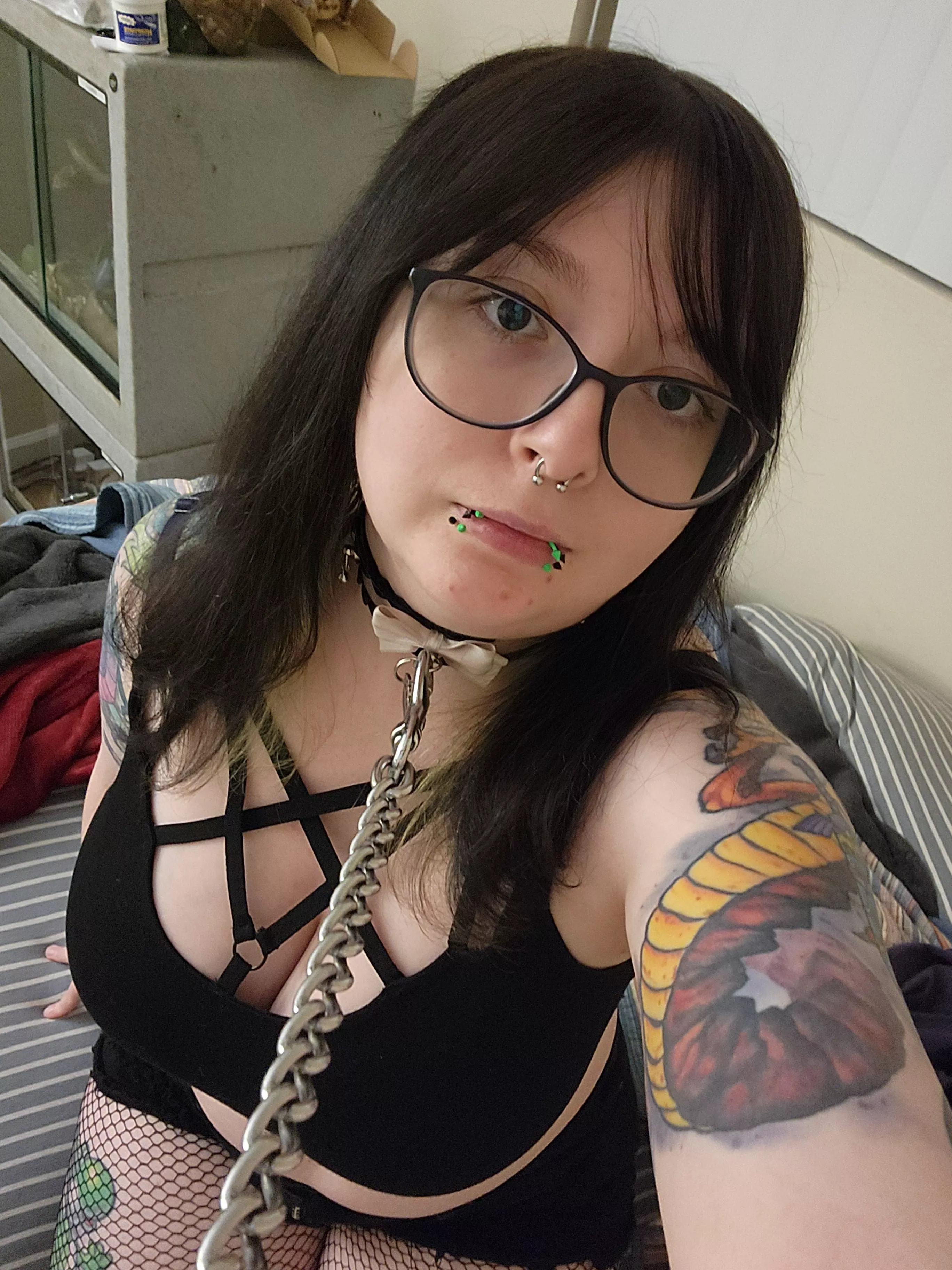 Don't pull too hard master please.  posted by MsCinny