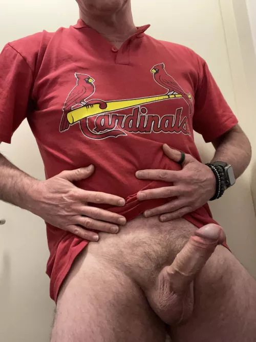 Go Cards! [56] by Woodenshoesrule