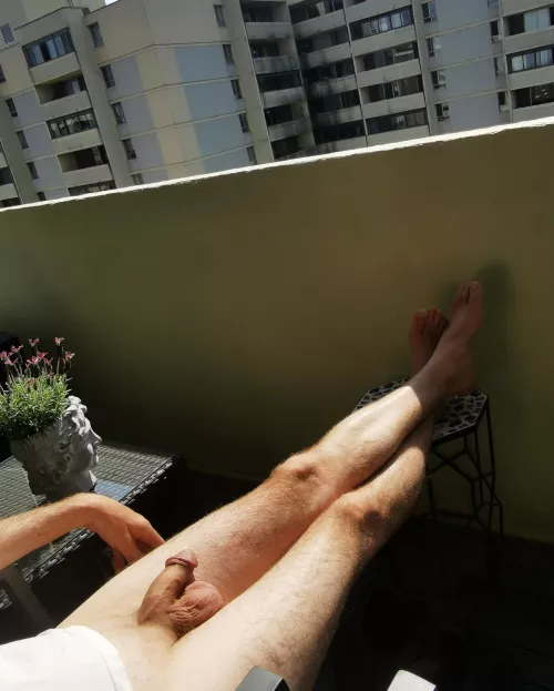 Howdy neighbors !  by Tomatsu567