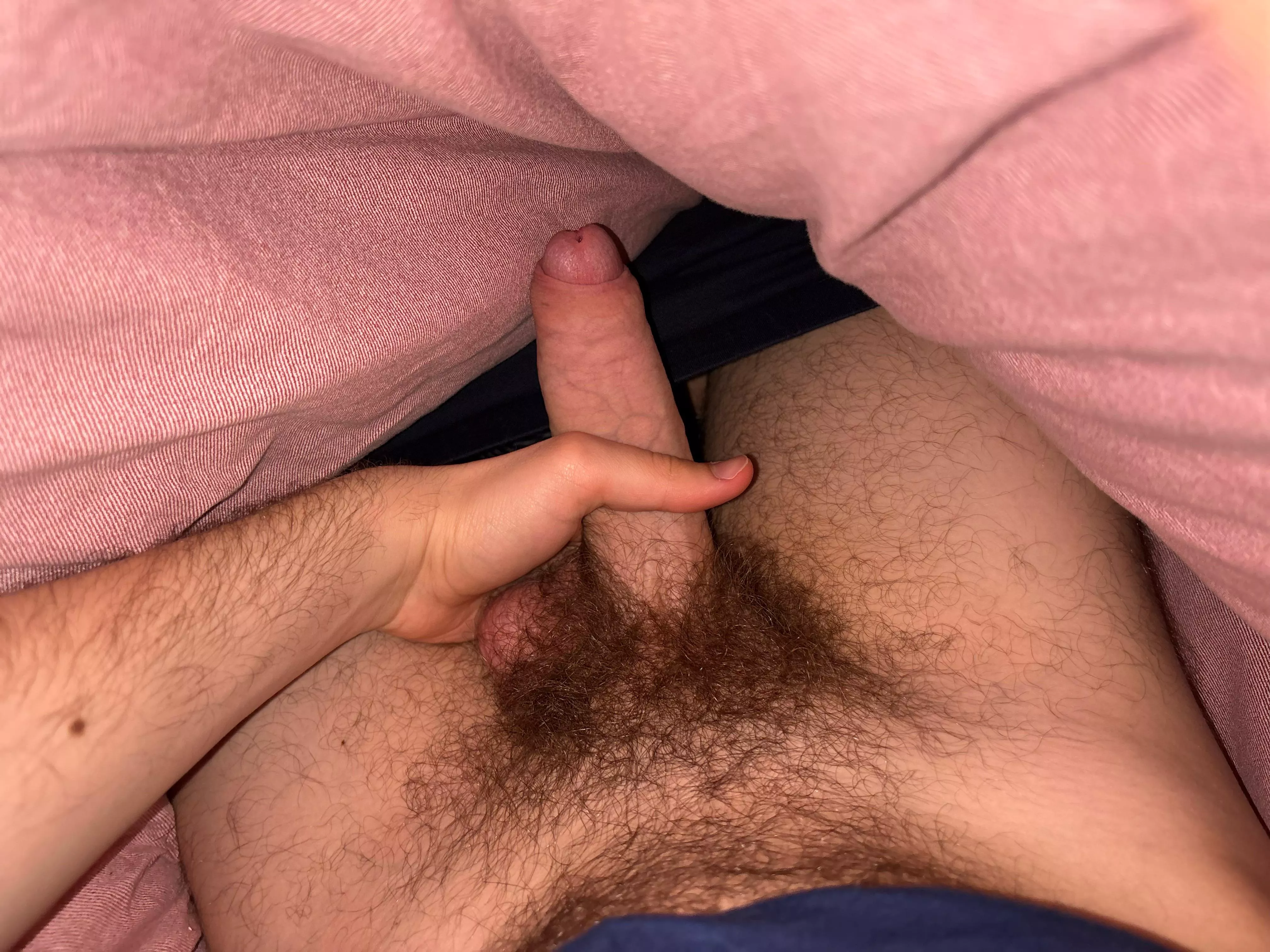 hung hairy cock posted by CupcakeNo6474