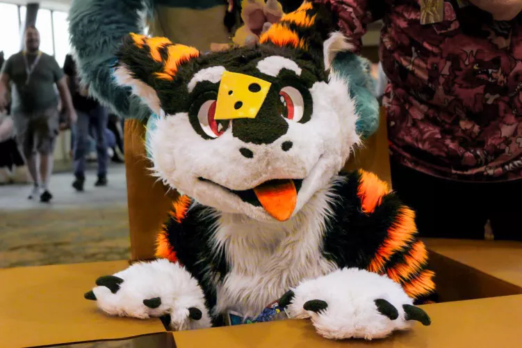 Ima box cheese! U may make one wish! :> by SilySox