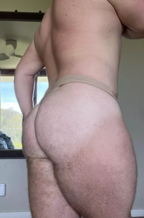 Let them eat cake.  by sturdysnak