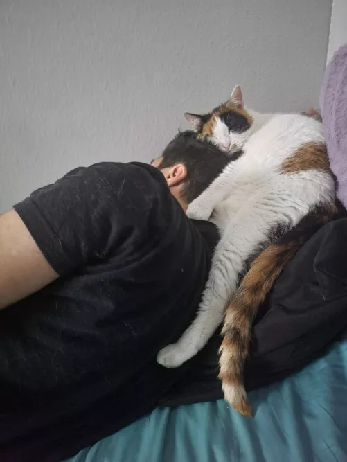 My cat comforting me after I kept losing against a boss today.  by DisneyCat25
