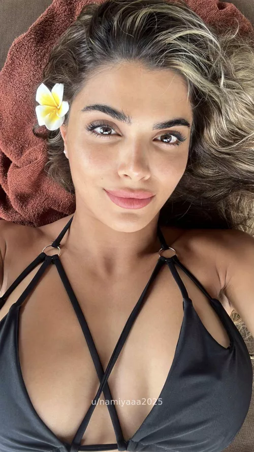 Persian x German by namiyaaa2025