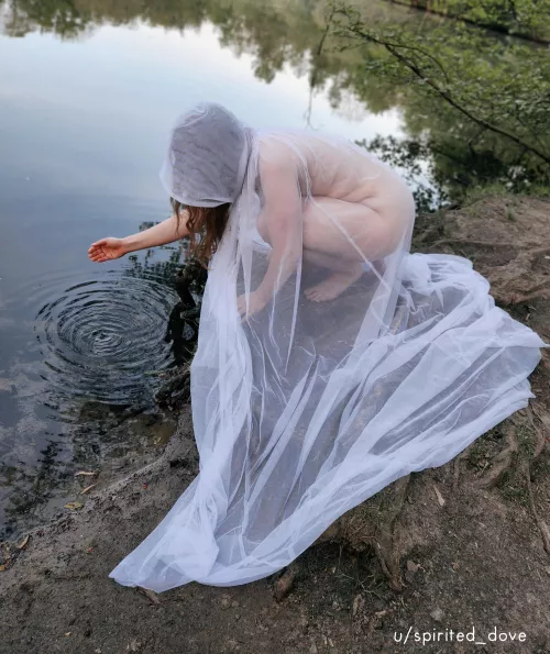 Purification by spirited_dove