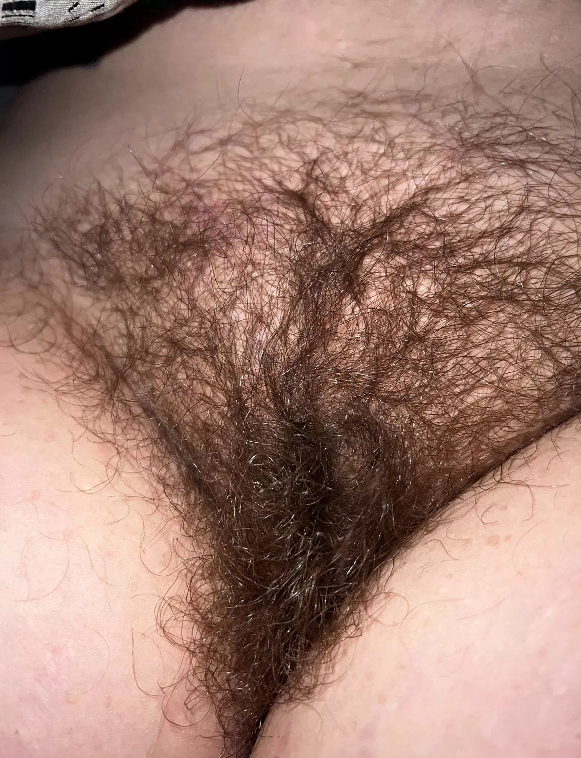 Raw posted by Tx_Chubbs