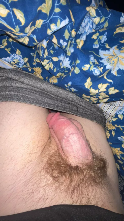 Wanna be roommates? I sleep naked most nights by Late-Inevitable938