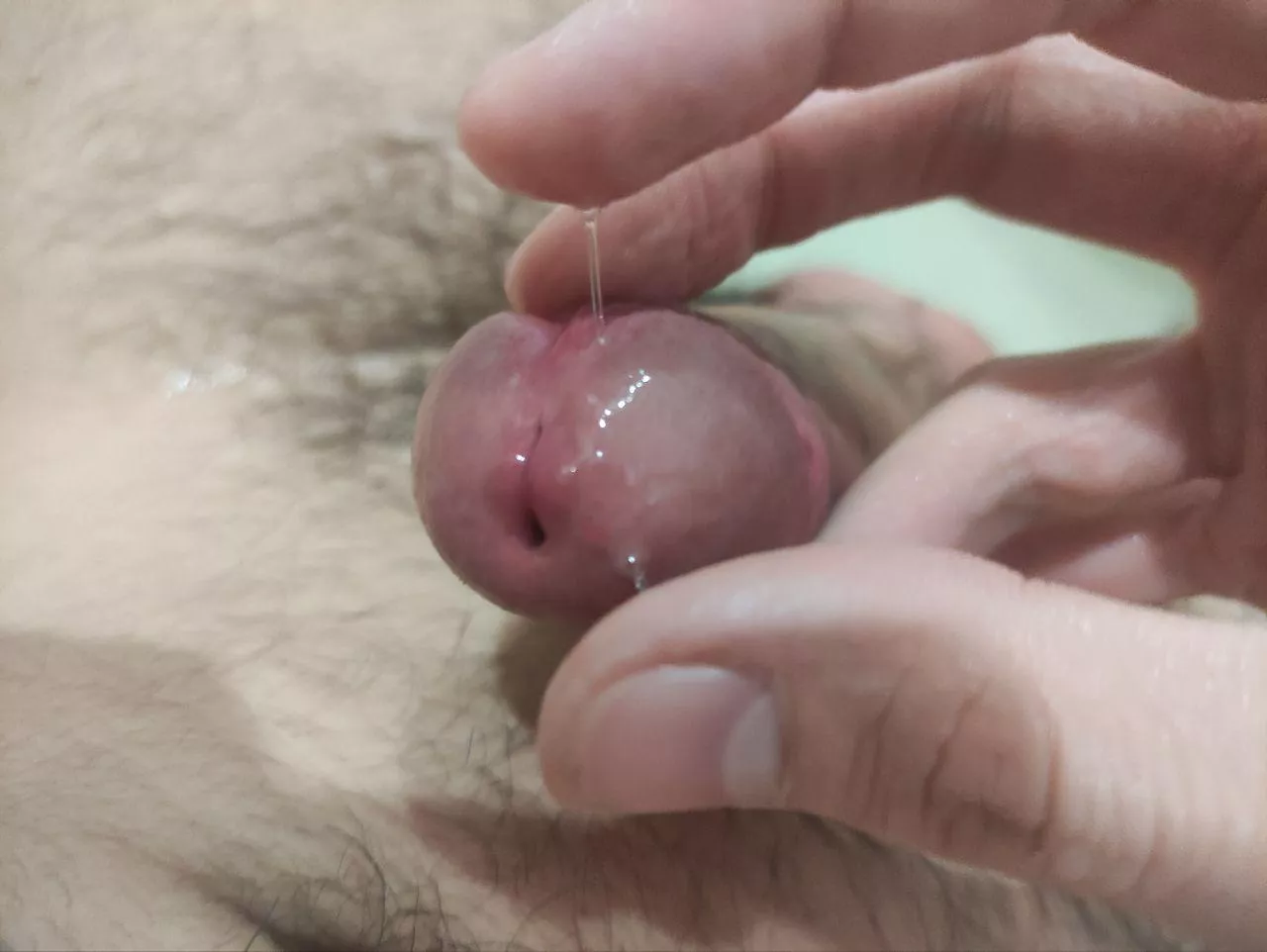 want to lick it?  posted by AlpsPotential2021