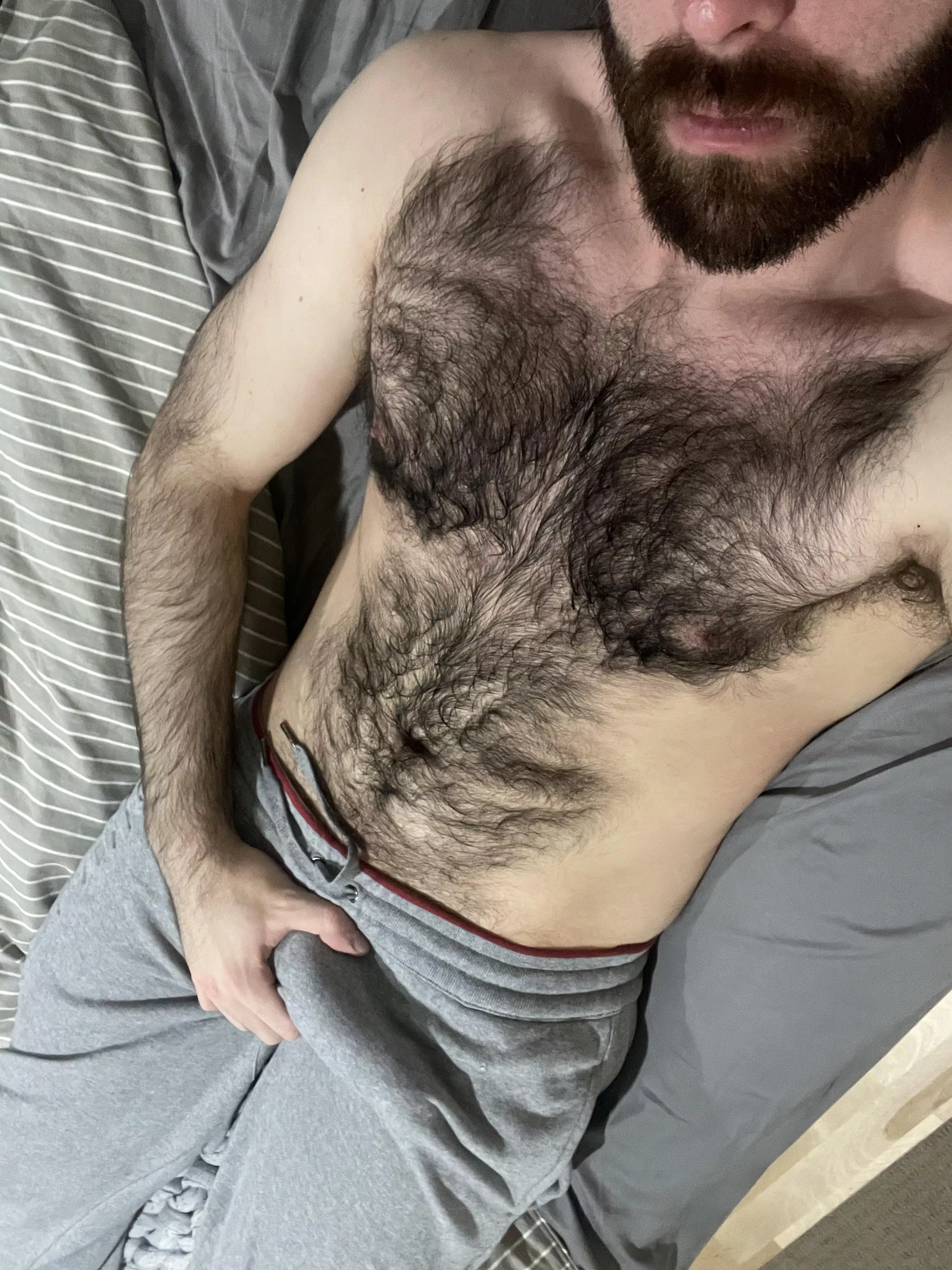 Weather getting colder means the beard is coming back posted by duke_fistington