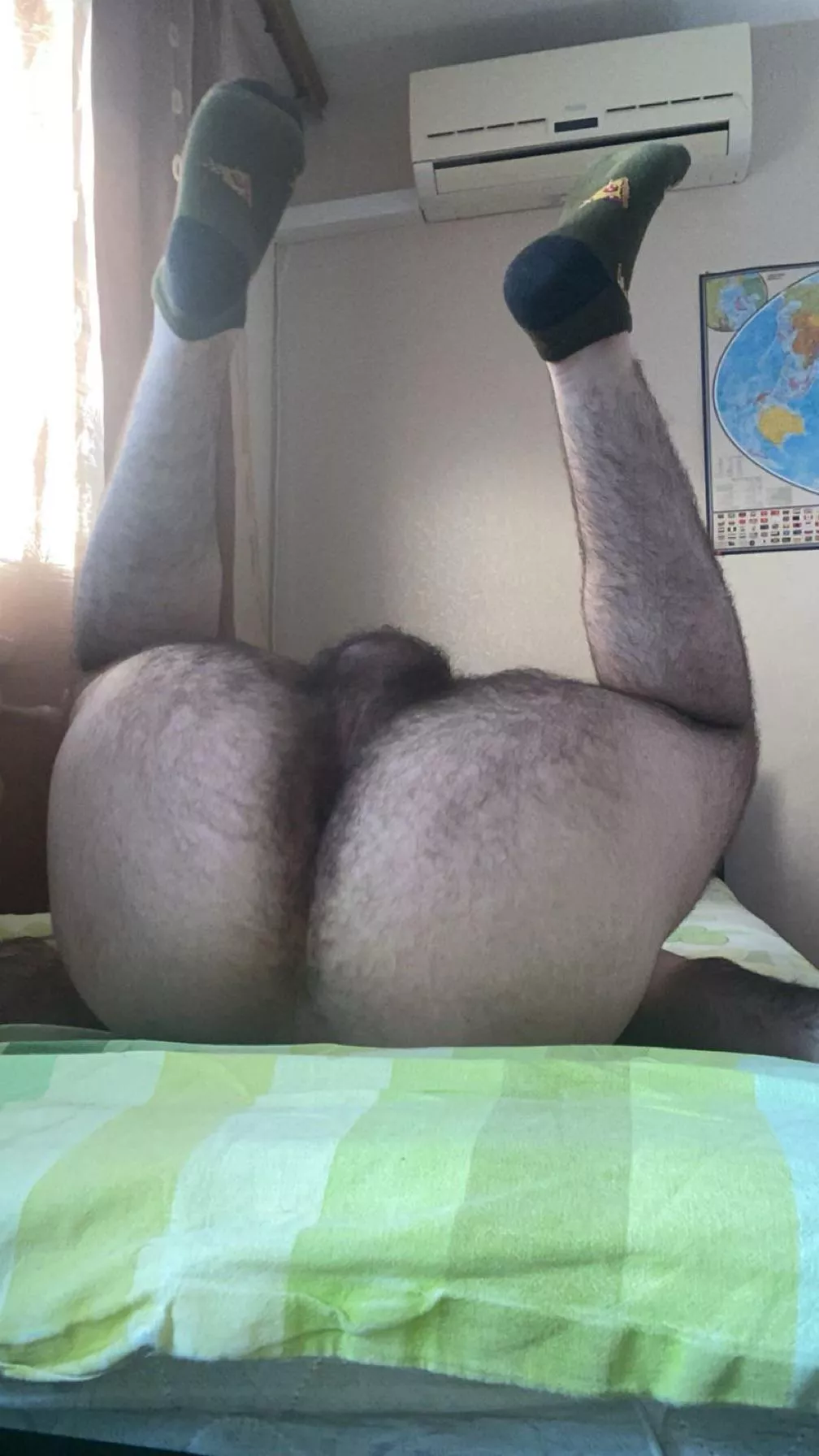 Where are the hairy ass lovers posted by staidslat