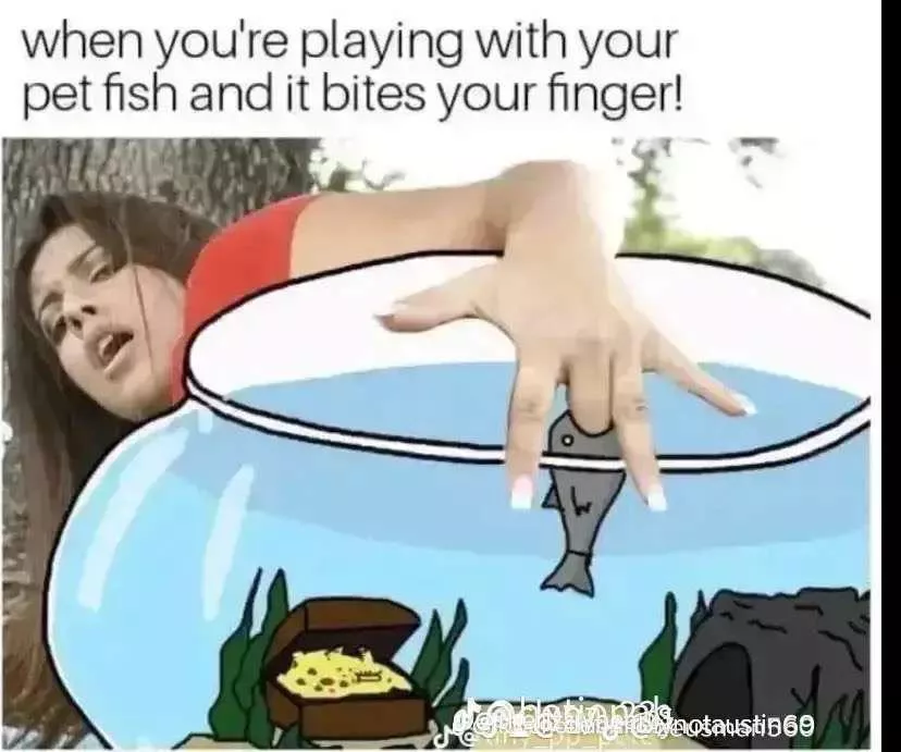 who is this posted by ShtyWits