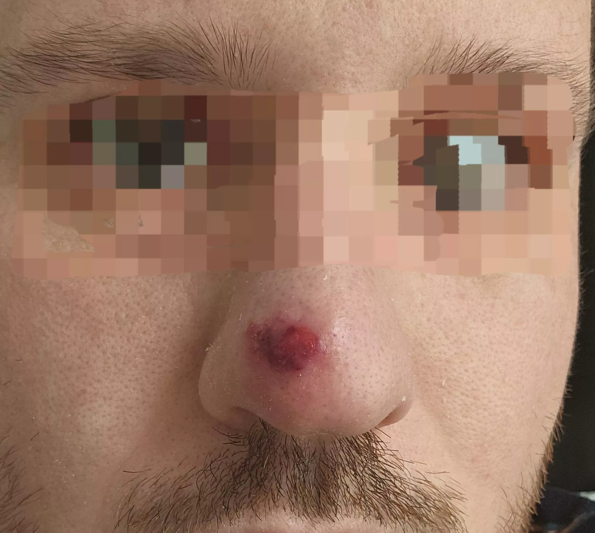 Will this be a good one? Or just plasma and disappointment? posted by spb311