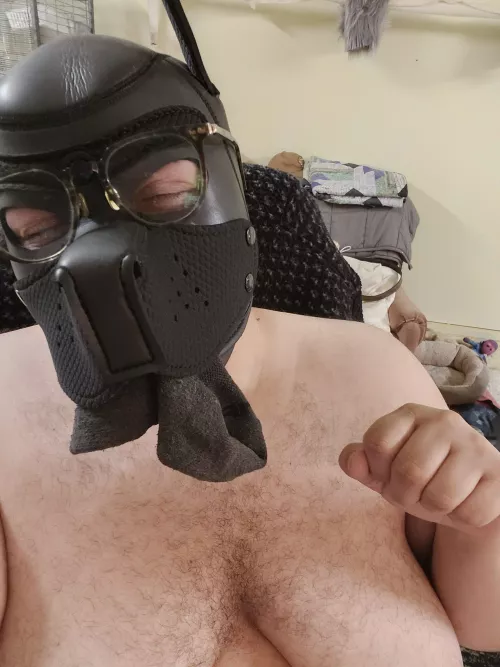 would love to play tug and get a kiss on my nose by Different_Strain_733