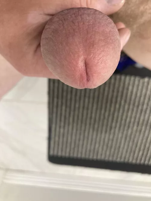 Would you?  by Internal_Avocado8656