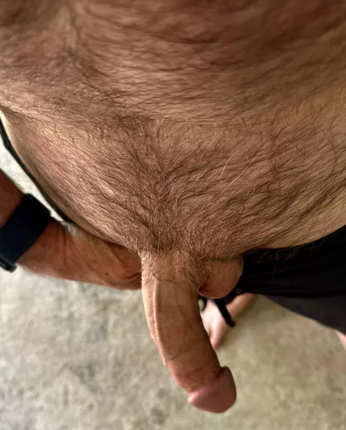 [61] sporting fresh runner’s trim post run by NorthAd5184