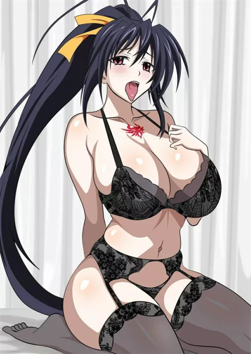 Akeno Himejima in Black Lingerie (yxyyxy on Pixiv) [High School DxD] by TheDerpSpoon