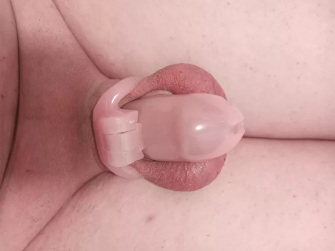 Anyone looking for a new slave to add to their collection? by __Insano__