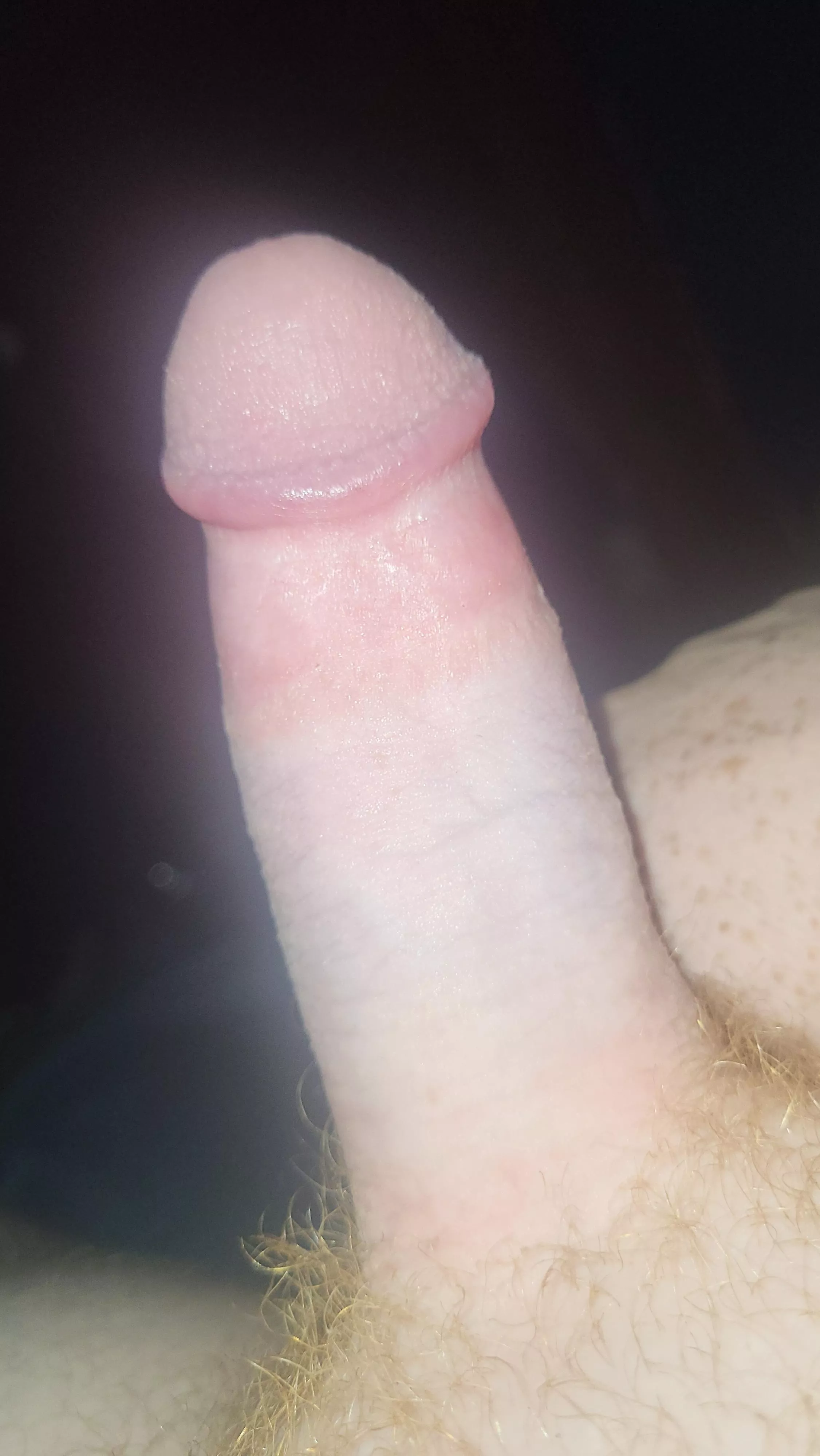 Anyone want my meat in their mouth? posted by Expensive_Initial949