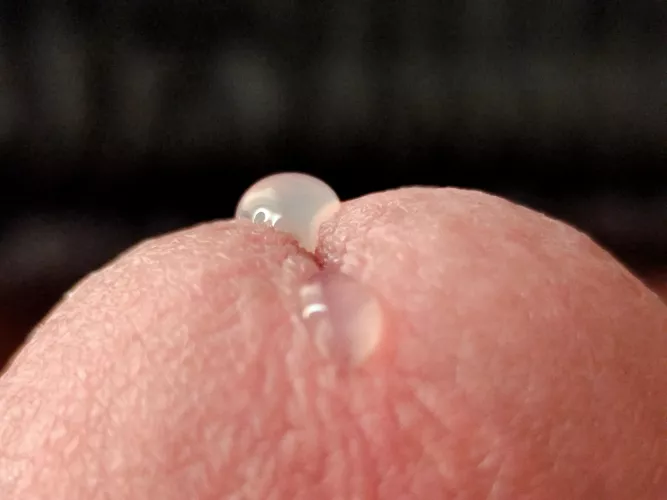 Closeup.. by No_Item1999