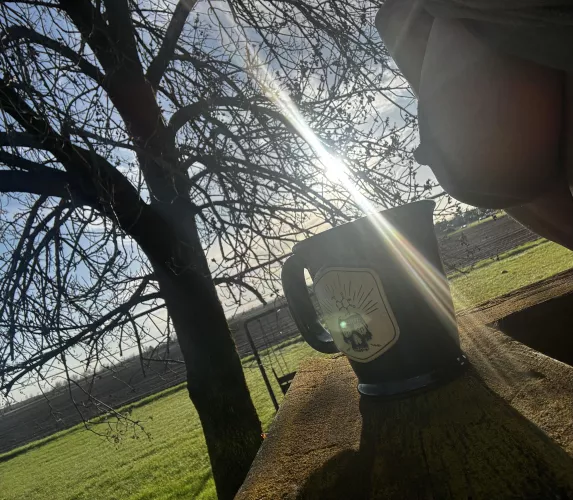 Good morning CGW 🌞  by Bibooklover69