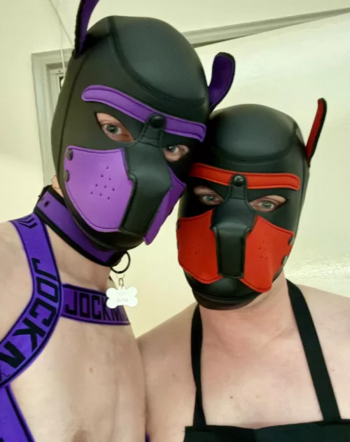 Goowd morning!! Have yourself a woofderful day! 🐶💜💚 by Pup_Arlo