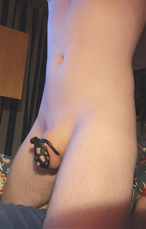 Got a new cage! Yay! Does it look good on me? by bassoes