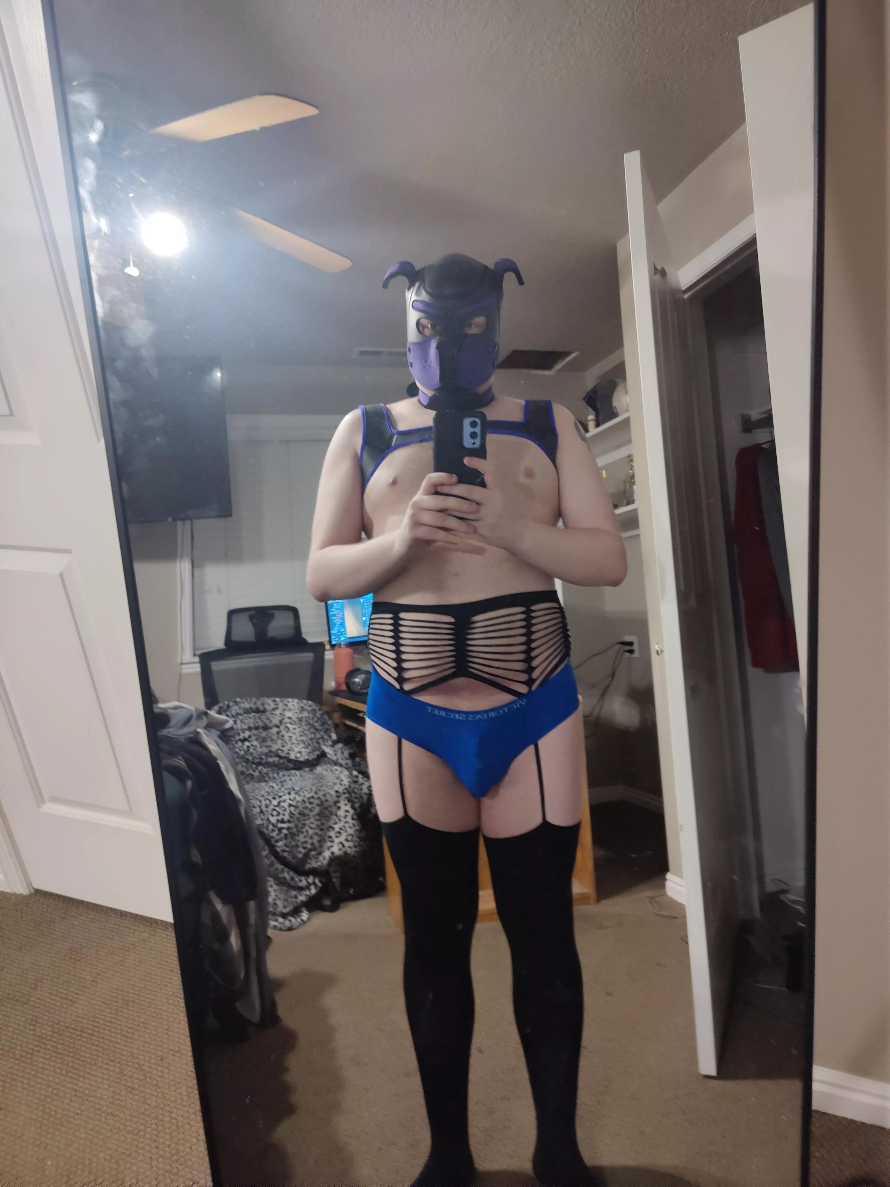 How's a 🐶 looking? posted by Sub_Pupper