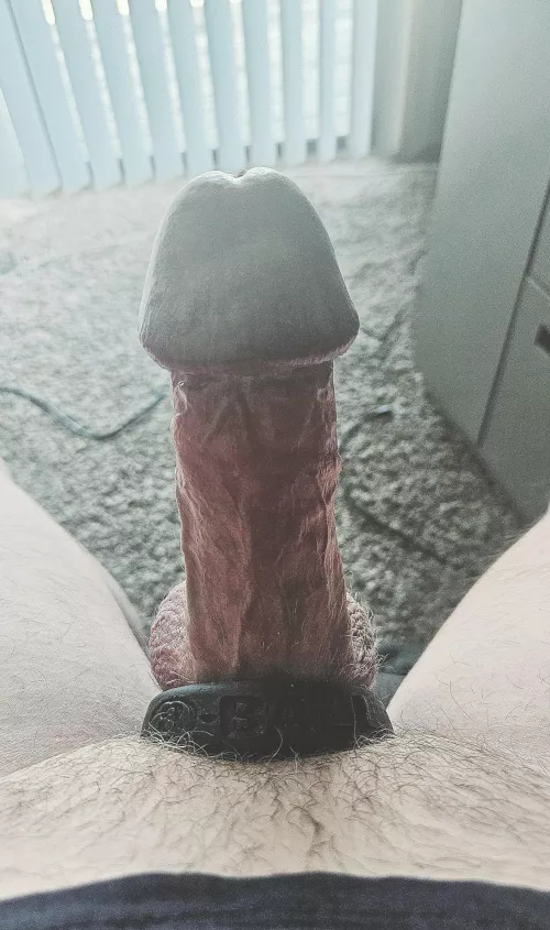 Just the Tip  by WereMostlyWater