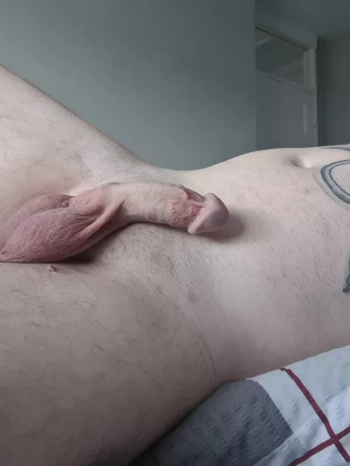 Lazy morning  by MysteriousWonder576